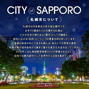 【いつでも、ご利用OK！】SAPPORO STREAM HOTEL　禁煙スーペリアダブル　1泊朝食付　1名様1室利用