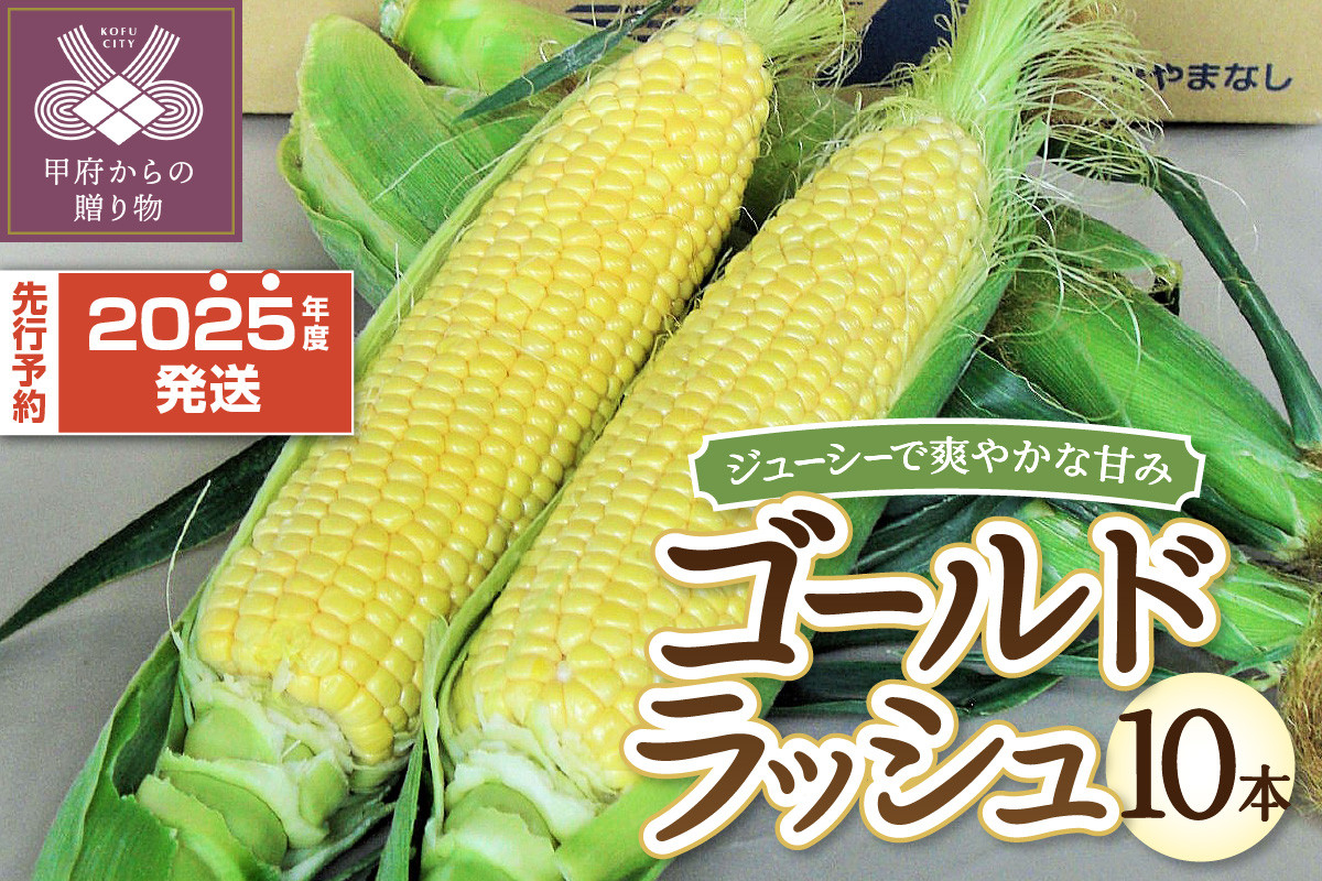 
            〈2025年度配送分〉とうもろこし「ゴールドラッシュ」 10本（2025年6月上旬～下旬にかけて順次配送予定）
          