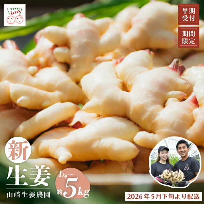 【ふるさと納税】早期受付 期間限定 みずみずしさがたまらない 新生姜 1kg 2kg 3kg 4kg 5kg【2026年5月下旬～9月上旬配送】高知県 高知 四万十市 四万十 しまんと 農作物 特産 しょうが 生姜 ショウガ 野菜 旬 新鮮 国産 先行 予約 ジンジャー お取り寄せ 送料無料