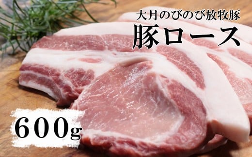 大月のびのび放牧豚【カツ・ステーキ用ロース】600g以上 (約150g×4)   豚肉 豚 ポーク ばら肉 小分け お肉 肉 山梨 やまなし 富士川町