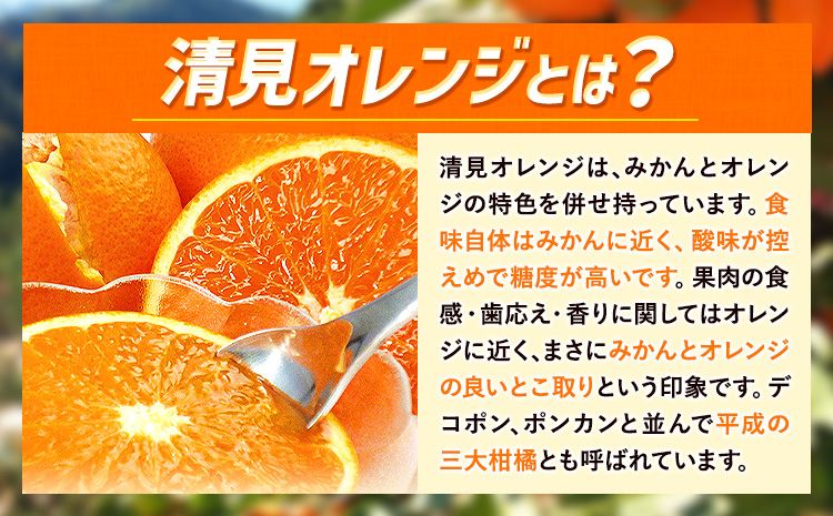 ＜先行予約＞とにかくジューシー 清見 オレンジ 2.5kg 株式会社魚鶴商店《2026年3月下旬-4月中旬頃出荷》和歌山県 日高町 柑橘 果物 フルーツ 清見オレンジ(f)