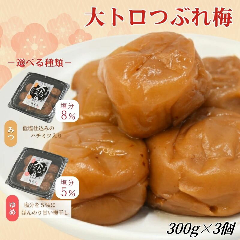 【ふるさと納税】紀州南高梅 大トロつぶれ梅 300g×3個 / 梅干し はちみつ 梅 蜂蜜梅 うす塩 低塩 塩分控えめ 南高梅 うめぼし 訳あり ワケあり 家庭用 お裾分け おすそわけ