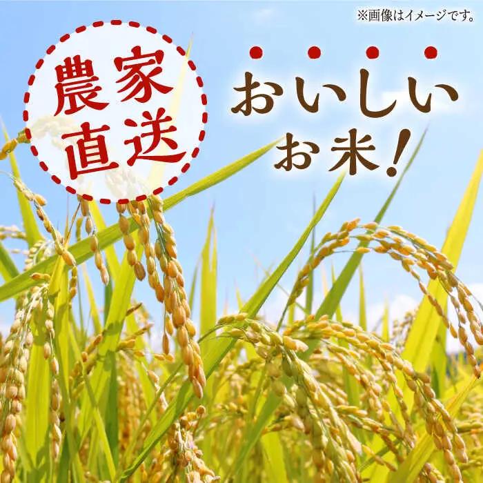 〈令和7年度産米〉【3回定期便】 ヒノヒカリ・にこまる 白米 食べ比べ 計10kg（5kg×2袋）【竹下農園】[ZEL011]