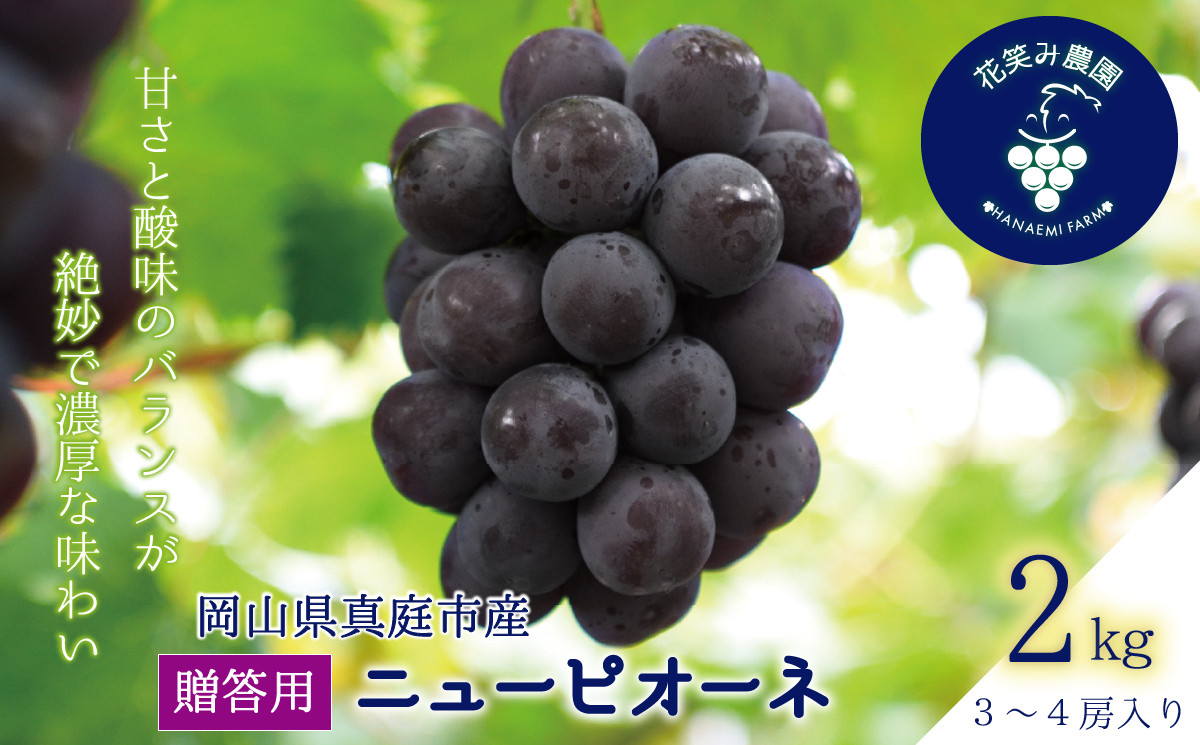 
            【2025年先行予約】ぶどう 岡山 花笑み農園『ニューピオーネ』約2kg（3～4房） hana06-2 贈答用 岡山 真庭 ピオーネ 高級 2kg 贈答 2025 真庭市 大粒 葡萄 果物 フルーツ 濃厚ピオーネ 人気 数量限定 2025年9月上旬～ 受付順に発送予定
          