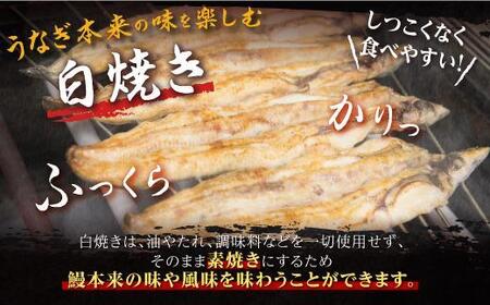 鹿児島県産うなぎカット白焼き6袋 計300g以上(パック個包装)|国産 うなぎ 鰻