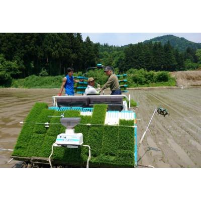 ふるさと納税 南魚沼市 【令和7年産 新米】南魚沼産コシヒカリ 5kg  井口農場こだわりの 特別栽培米 |  | 02