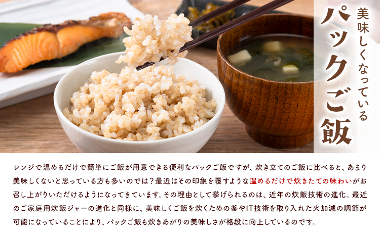 ぴかまる パックご飯 10個パック ごはん 米 パックライス 南阿蘇村産 一般社団法人南阿蘇村農業みらい公社《30日以内に出荷予定(土日祝を除く)》熊本県 南阿蘇村 送料無料 お米 米 ご飯 玄米 パ