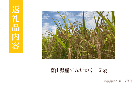 【先行予約】令和6年産 富山県産 てんたかく 5kg 吉笑米 10月中旬以降順次発送 富山県 氷見市 天高く 米 R６ 白米