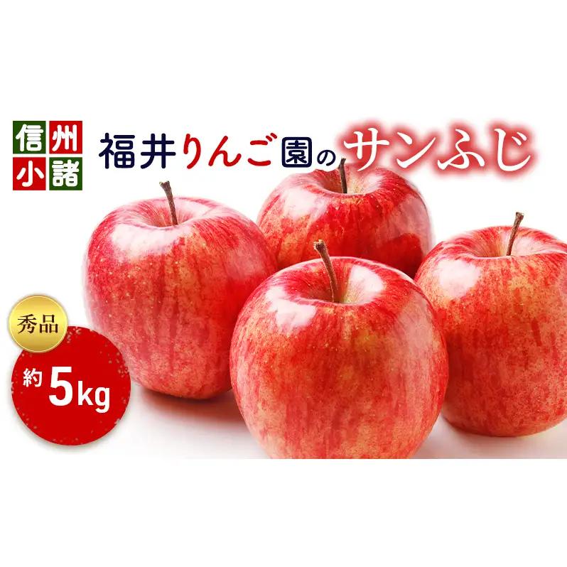 りんご 福井りんご園 サンふじ 秀品 約5kg りんご