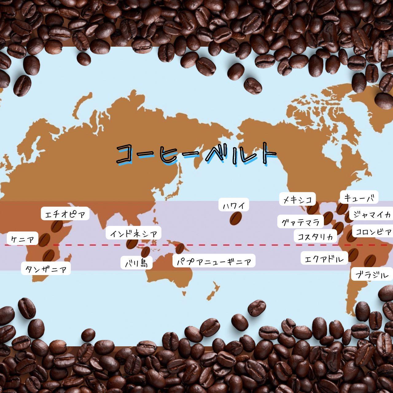 自家焙煎 プレミアム珈琲豆 3種セット（豆のまま）（3か月連続お届け）