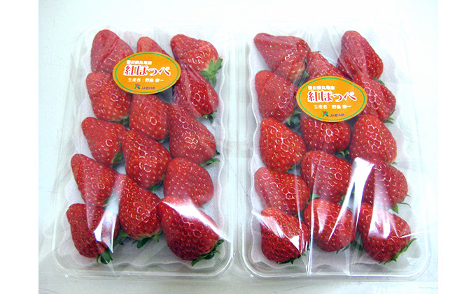 いちご 紅ほっぺ 4パック 丸亀産 フルーツ 果物 デザート おやつ 旬 産地直送 旬の果物 旬のフルーツ お取り寄せ 取り寄せ 送料無料 冷蔵 冷蔵配送 イチゴ 苺 香川 香川県 丸亀市 11月下旬発送開始