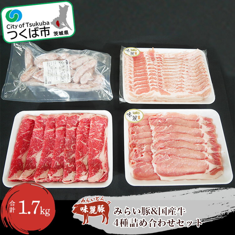 【ふるさと納税】みらい豚ローススライス・バラ薄切り・ホワイトウインナー・国産牛ロース牛豚詰合せ | 茨城県 つくば市 豚肉 おいしい 牛肉 牛 詰合せ 特選肉 セット ブランド豚 ブランド肉 銘柄豚 ポーク 冷凍 グリル料理 焼肉 BBQ バーベキュー 1102663