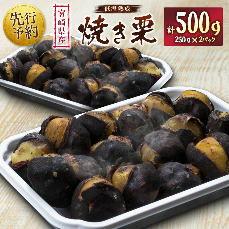 【ふるさと納税】＜先行予約＞宮崎県産 低温熟成栗［焼き栗］計500g（250g×2パック）おやつ 秋の味覚 お取り寄せ