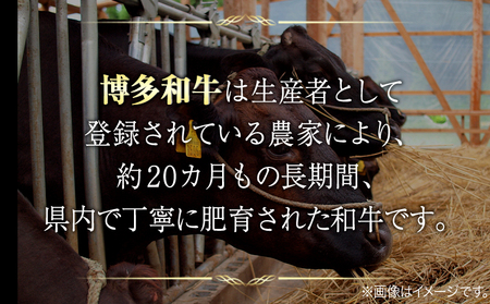 博多和牛切り落とし 500g《30日以内に出荷予定(土日祝除く)》 博多和牛 株式会社MEAT PLUS 牛肉 牛肩 バラ A4ランク 以上使用 厳選