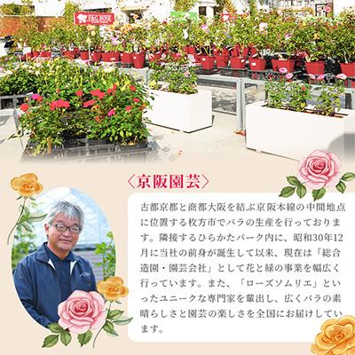 ふるさと納税 枚方市 京阪園芸 バラ 鉢植え (未開花) 2鉢セット |  | 03