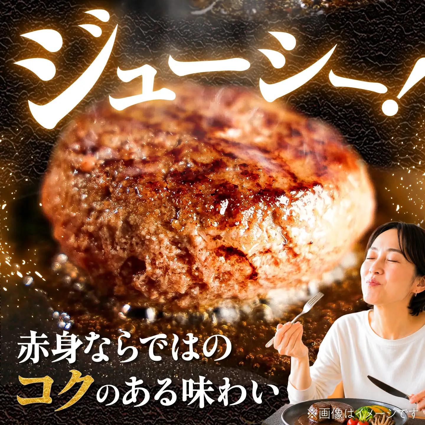 全6回定期便 熊本和牛 あか牛 ハンバーグ セット 約120g×6個 BHAS034 ハンバーグ