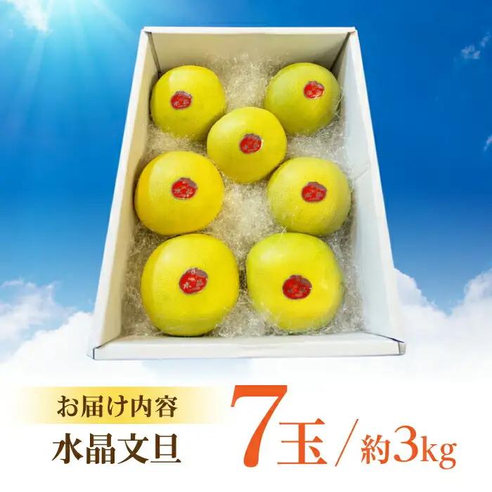 【先行予約】 南国土佐の女王柑橘 水晶文旦 約3kg 7玉入り〈2026年9月中旬〜2026年12月中旬頃発送〉/ ぶんたん 文旦 3kg 3キロ フルーツ 高知 名物 果物 柑橘  【フルーツショッ