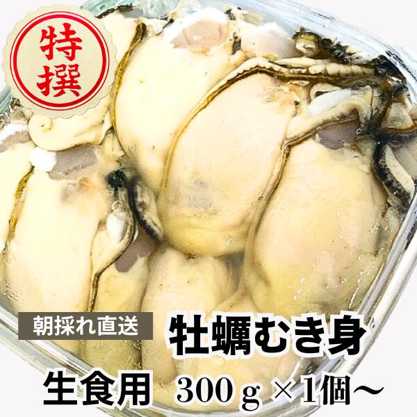【ふるさと納税】生食用 牡蠣むき身 300g×1個/2個/3個【期間限定2月〜4月発送】
