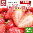 【ふるさと納税】いちご 亘理町のいちご もういっこ 250g × 4パック オンライン決済限定 先行受付中！！ 苺　 果物 フルーツ イチゴ セット 　お届け：2025年1月上旬頃から1月下旬頃まで