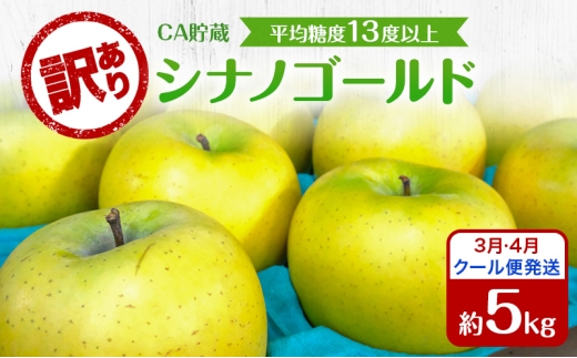 りんご 【3月・4月クール便発送】 平均糖度13度以上 訳あり品 家庭用 CA貯蔵 シナノゴールド 約 5kg 【 青森りんご 】 フルーツ リンゴ 青森県 家庭用 ジューシー