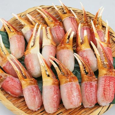 ふるさと納税 岸和田市 【2026年5月2日より順次発送】生ずわいがに カニしゃぶ用 爪肉 500g(8〜25本)