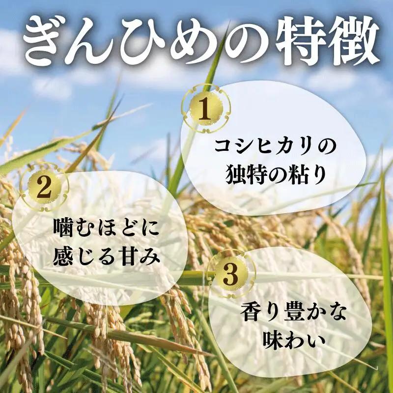 米 三重県産 コシヒカリ ぎんひめ 5kg×2袋（計10kg） 
