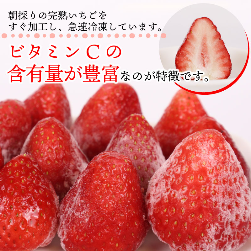 冷凍 いちご 苺 3kg以上 完熟 おいCベリー ヘタ取り いちご 静岡 限定 苺 冷凍いちご 果物 スイーツ いちご 牧之原市 デザート フルーツ スイーツ アイス ジャム シャーベット ベリー 氷