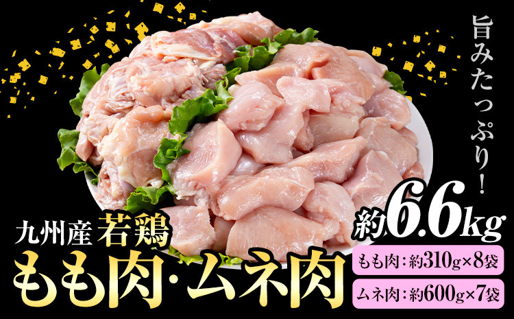 
            九州産 若鶏もも肉 約2.48kg(約310g×8袋)、若鶏むね肉 約4.2kg(約600g×7袋）合計約6.6kg 《90日以内に出荷予定(土日祝除く)》
          