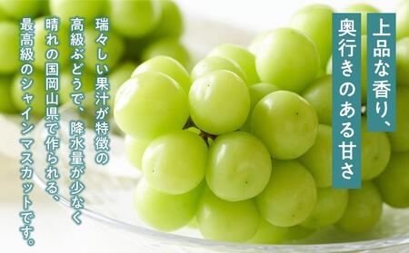 桃 ぶどう 2024年 先行予約 白桃 2玉（1玉200g以上） シャイン マスカット 『晴王』2房（合計約940g）詰合せ もも 葡萄 岡山県産 国産 フルーツ 果物 ギフト [No.5220-04