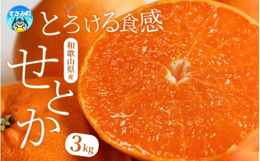 とろける食感！ジューシー柑橘 せとか 約3kg【予約】※2027年2月下旬頃〜3月中旬頃発送(お届け日指定不可) みかん ミカン 蜜柑 柑橘 果物 フルーツ【uot506A】