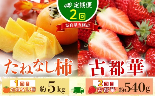 【 定期便 2回 】甘み堪能！ たねなし柿 ＆ 古都華いちご  | フルーツ いちご 古都華 果物 くだもの オリジナル 糖度 酸味 希少 奈良県 五條市 五條の柿