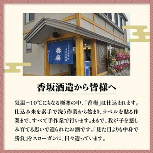 日本酒 香坂酒造 純米大吟醸 生原酒 香梅 720ml 1本