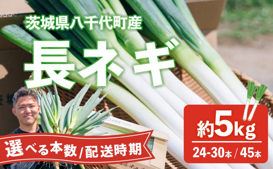 
                  【選べる配送時期・本数( 約24本～30本  / 約45本 )】長ネギ 約5kg 2L 約24本～30本 約45本 茨城県産 八千代町産 野菜 農家直送 化成肥料不使用 有機肥料100% ねぎ 長ねぎ ネギ 旨味 認定農業者 8500円 9000円 [DJ001ya-DJ004ya]
                