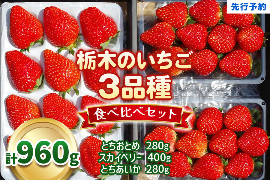 
            【先行予約】いちごの贅沢！栃木の3品種食べ比べセット 960g《12月より順次出荷》澳原いちご農園 | とちあいか とちおとめ スカイベリー いちご 苺 フルーツ 果物 産地直送 
          
