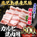 【ふるさと納税】鹿児島県産 「黒豚」焼肉・BBQ用カルビ(計800g・200g×4P)黒豚 豚肉 豚 肉 カルビ バラ 豚バラ 焼肉 焼き肉 BBQ 小分け 真空パック 国産 鹿児島産 冷凍【森商店】A1-30139