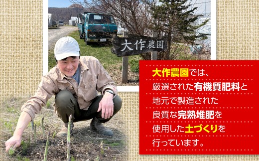 【2027年7月より発送】カラフルミニトマト約1kg(5種以上) 大作農園 北海道壮瞥町 【 ふるさと納税 人気 おすすめ ランキング 先行予約 ミニトマト ミニトマトセット 北海道産トマト トマト 