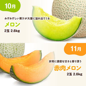 ※期間限定※【3ヶ月定期便】メロンといちごの定期便Vol.2 【 川南町産 くだもの メロン いちご イチゴ  】