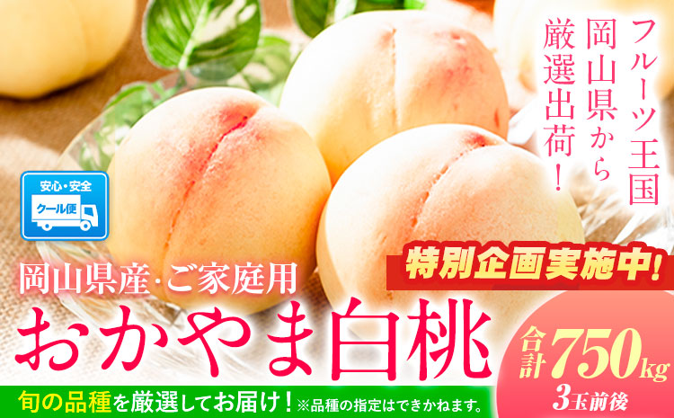 【特別企画】桃 もも 白桃 岡山の桃 もも 750g 3玉前後 岡山県産 《最短翌日！1-5営業日以内に出荷（土日祝除く）》白桃 桃 もも 桃 白桃 桃 岡山白桃 桃 ---asakuchi_lcl_