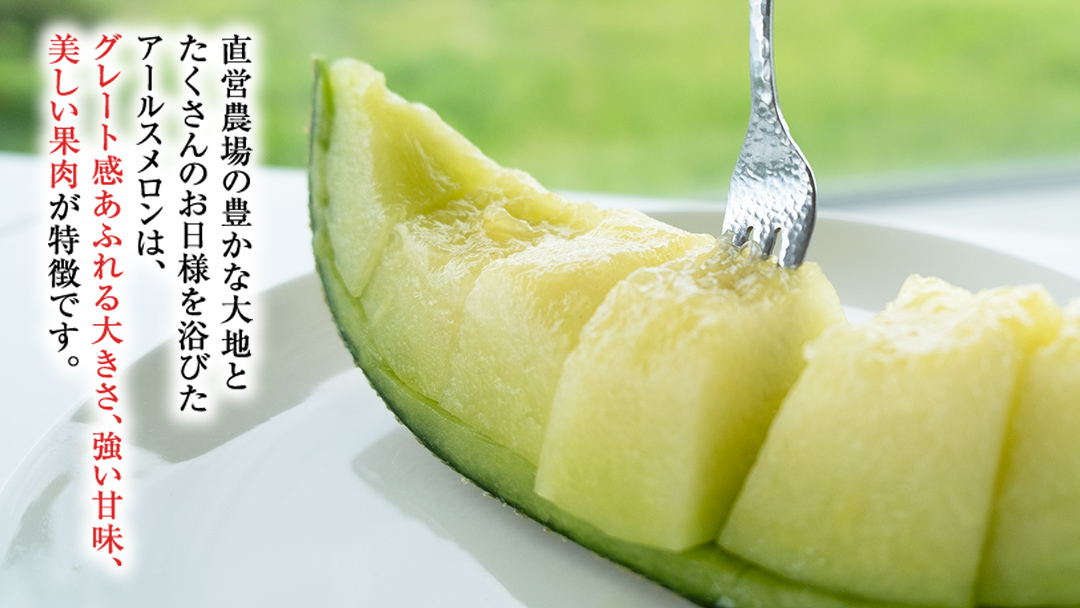 【2025年8月下旬発送開始】 季節 限定 ！ 甘さ満点 特大 アールスメロン 1個 果物 フルーツ 農家直送 産直 青肉メロン 特産品 マスクメロン メロン くだもの 茨城 [BC005sa]