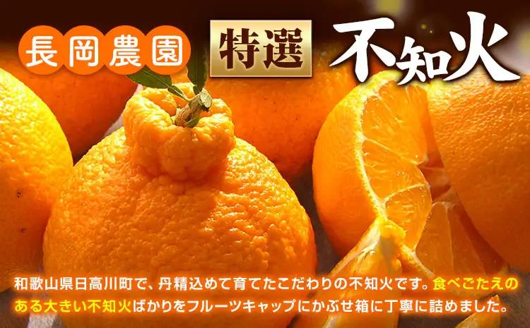 特選 不知火  約5.4kg しらぬい デコポンと同品種