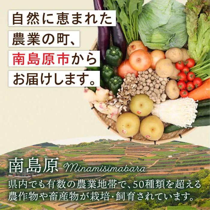 【9回定期便】野菜定期便 吉岡青果[SCZ024]