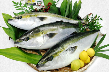 レモンサーモン と あたたブリtoレモン の食べ比べ 瀬戸内海 レモン育ち 広島レモンサーモンとあたたブリtoレモンの詰め合わせ [1640]
