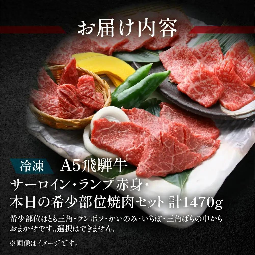 飛騨牛サーロイン・ランプ赤身・本日の希少部位焼肉セット 各490g【11-48】