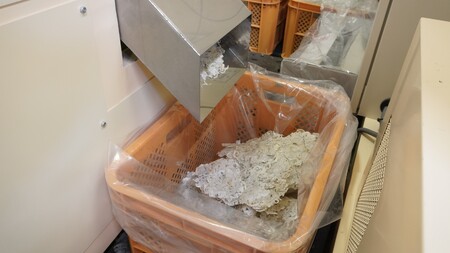 B133 そのまんまえび　10個セット