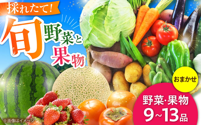 菊陽町特産品 「野菜・果物などの詰め合わせ」 / 新鮮 詰合せ フルーツ 野菜セット 旬 おまかせ にんじん ごぼう 直売所 やさい くだもの 熊本県 特産品 菊陽町 【有限会社さんふれあ】 [BHAK006]