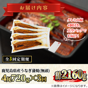 【80042】<定期便・全3回>東串良町のうなぎ蒲焼(無頭)(4尾・計約720g・タレ、山椒付×3回)うなぎ 高級 ウナギ 鰻 国産 蒲焼 蒲焼き たれ 鹿児島 ふるさと 人気【アクアおおすみ】