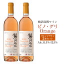 【ふるさと納税】鶴沼収穫ワイン 【ピノ・グリOrange】 2本セット アルコール 11.5％-12.5％ お酒 酒 ワイン オレンジワイン オレンジ 鶴沼ワイン 鶴沼 鶴沼ワイナリー 2本 セット 北海道産 北海道 浦臼町 送料無料