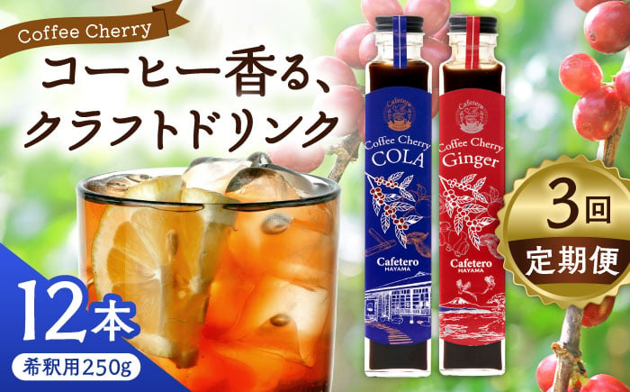 
            【全3回定期便】カフェテーロ葉山　コーヒーチェリーコーラ 6本 コーヒーチェリージンジャー 6本/ 天然エネジードリンク 酸味 フルーティ 神奈川県【合同会社エンディレクト】 [ASBM019]
          