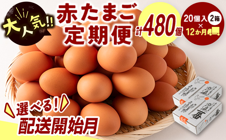＜配送開始月が選べる!!＞児湯養鶏自慢の卵 ネッカリッチ赤たまご「児湯一番」 計480個 （20個入×2箱）×12か月定期便 ※2025年9月配送開始【E19-2509】