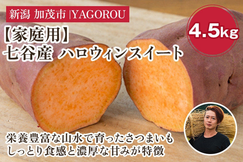 
            【家庭用】ハロウィンスイート 4.5kg（A品・B品混在） 新潟県加茂市七谷産 さつまいも《10月下旬〜順次発送》 サツマイモ お芋 焼き芋 スイートポテト 野菜 根菜 低温熟成 加茂市 YAGOROU ヤゴロウ
          